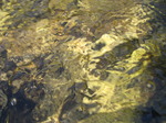 SX09486 Water flowing in small stream.jpg